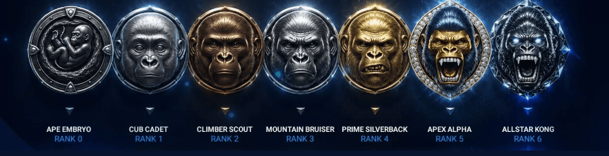 Allstars.io Casino Programa de Fidelidad